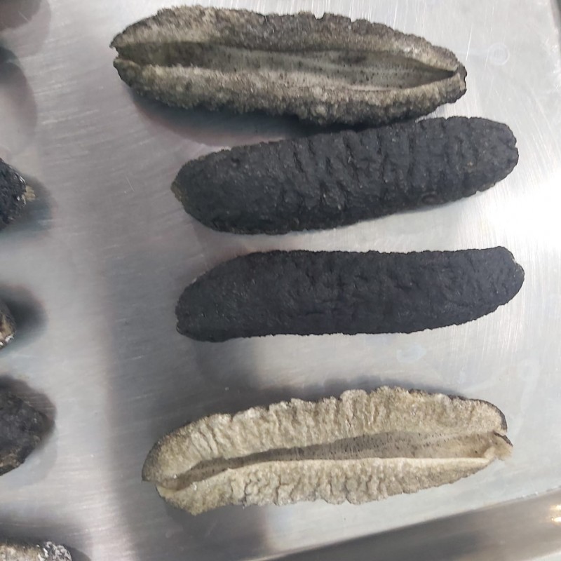 DRIED SANDFISH SEA CUCUMBER from Vietnam